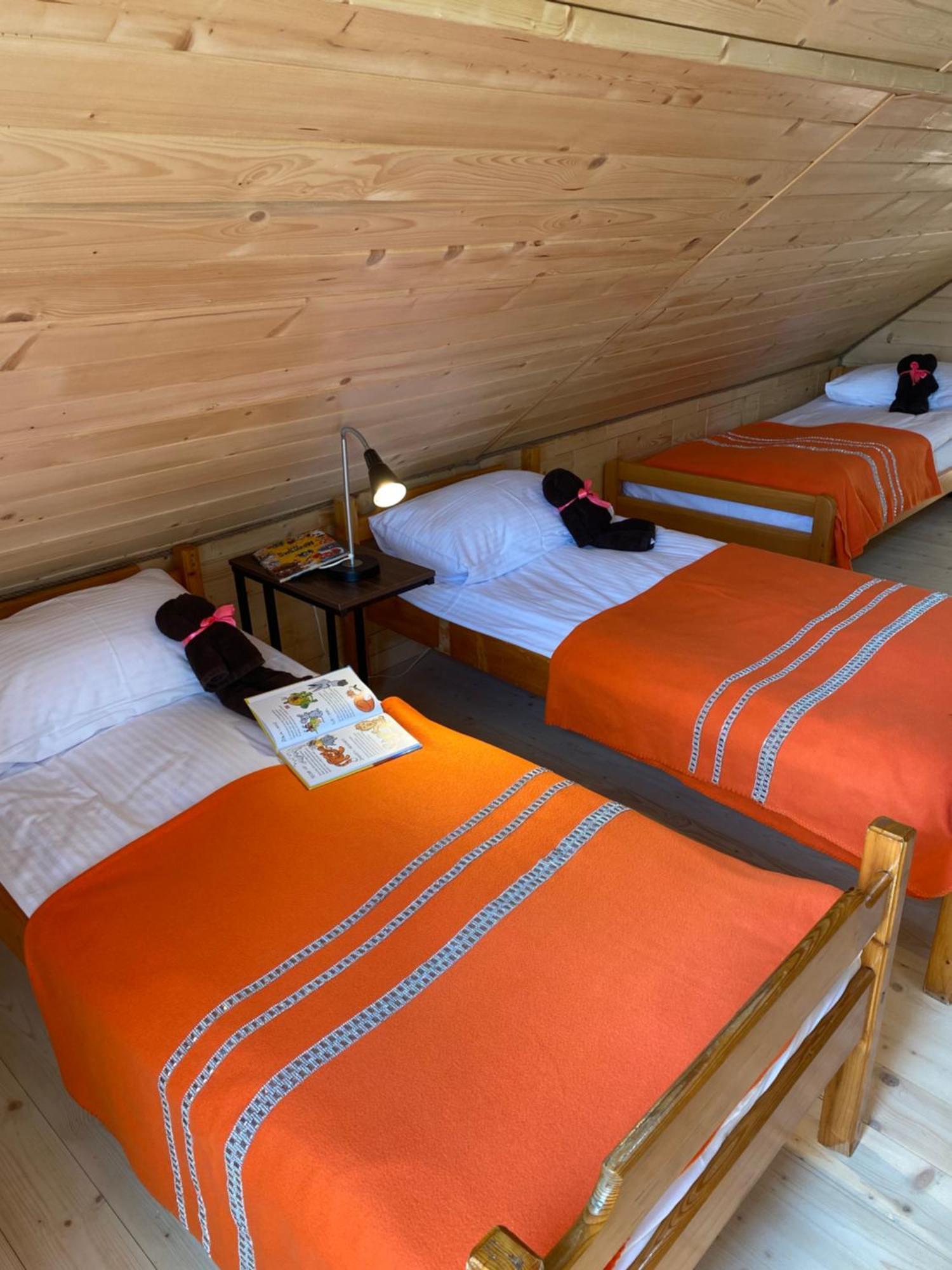 Apartamenty Migaczowka Tylicz Extérieur photo